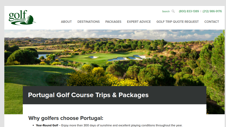 Screenshot of the Golf International, Inc. website