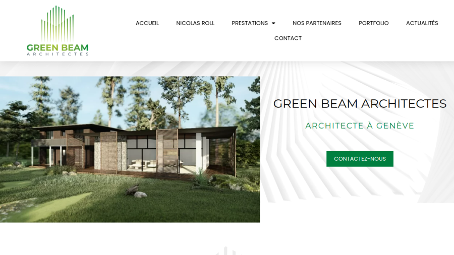 Aperçu du site Greenbeam