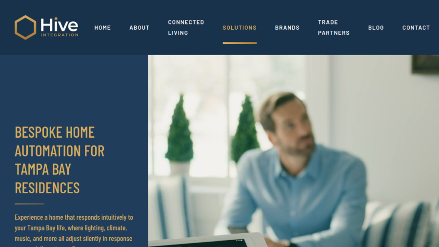 Screenshot of the Hive Style website