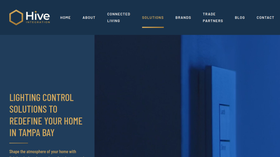 Website screenshot of Hive Style