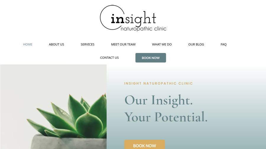 Screenshot of the Insight Naturopathic Clinic website