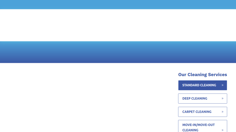 Screenshot of the Lightning Cleaning website