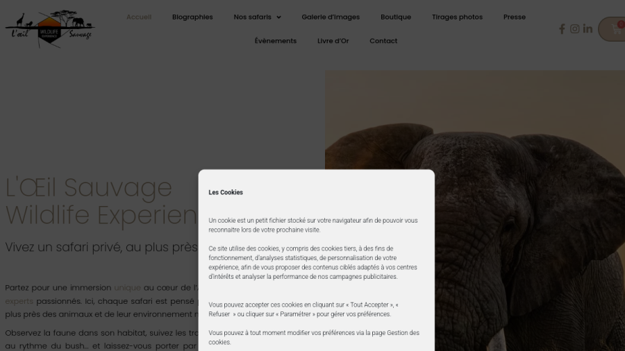 Aperçu du site L'Œil Sauvage