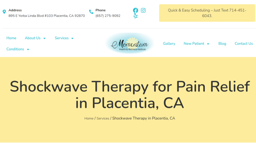 Screenshot of the Momentum Health and Wellness Institute website
