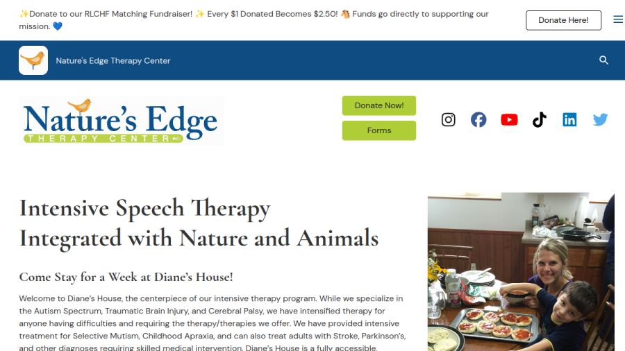 Nature's Edge Therapy Center Inc website
