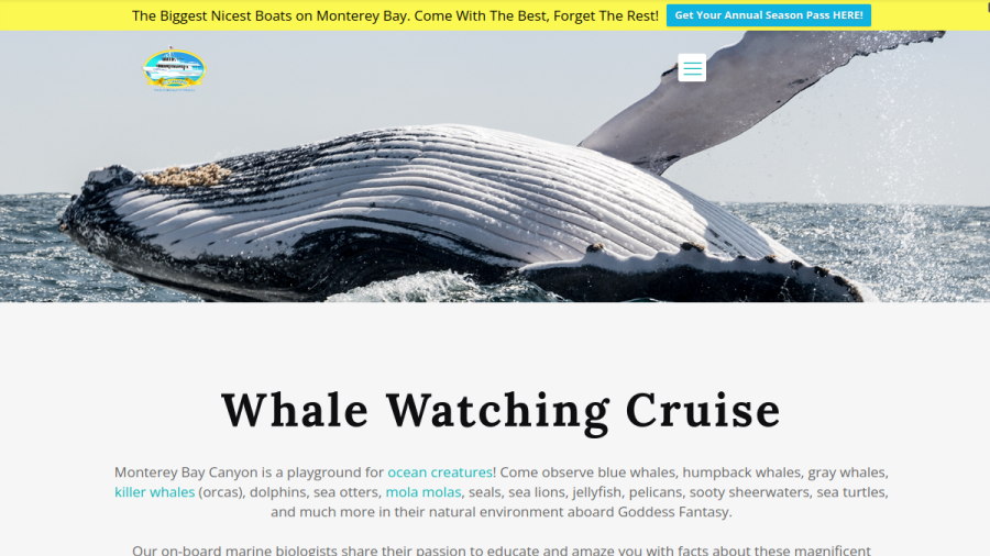 Sea Goddess Whale Watching website