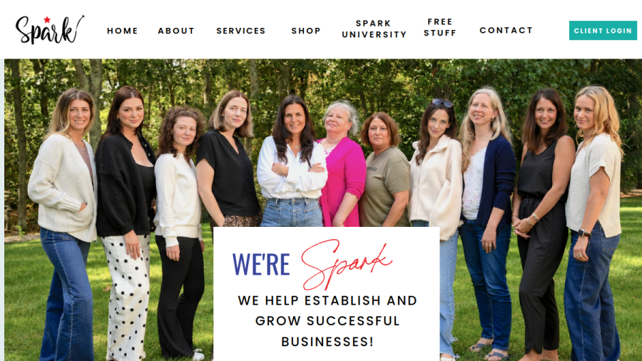 Spark Business Consulting website