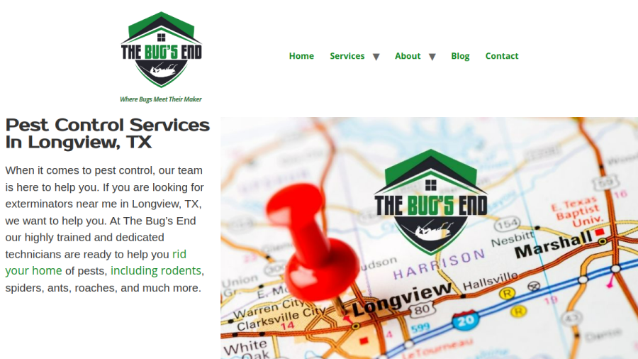 Screenshot of the The Bug's End website