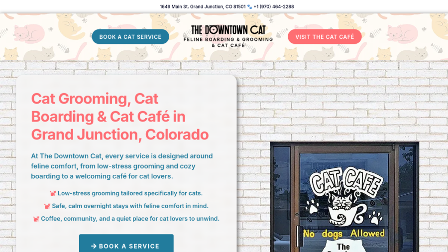 Screenshot of The Downtown Cat website