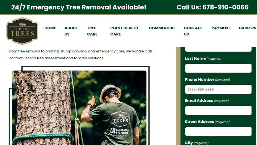 Top Tier Trees website