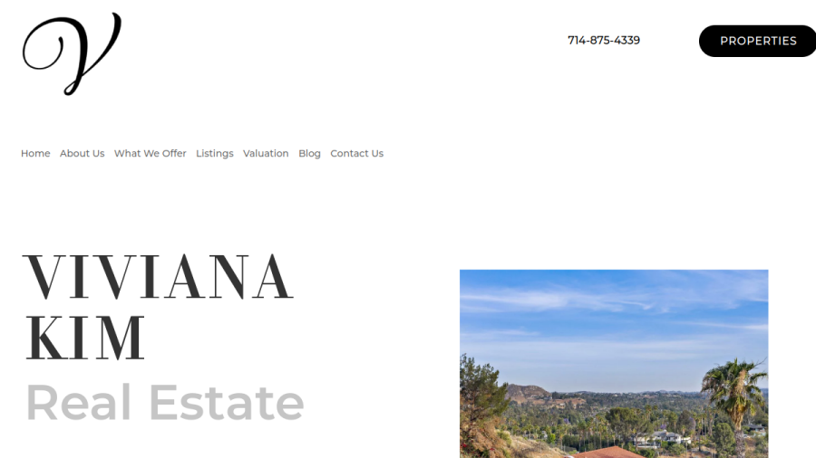 Viviana Kim Real Estate website