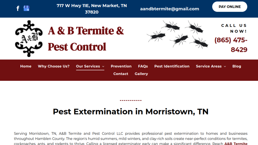 A & B Termite & Pest Control website