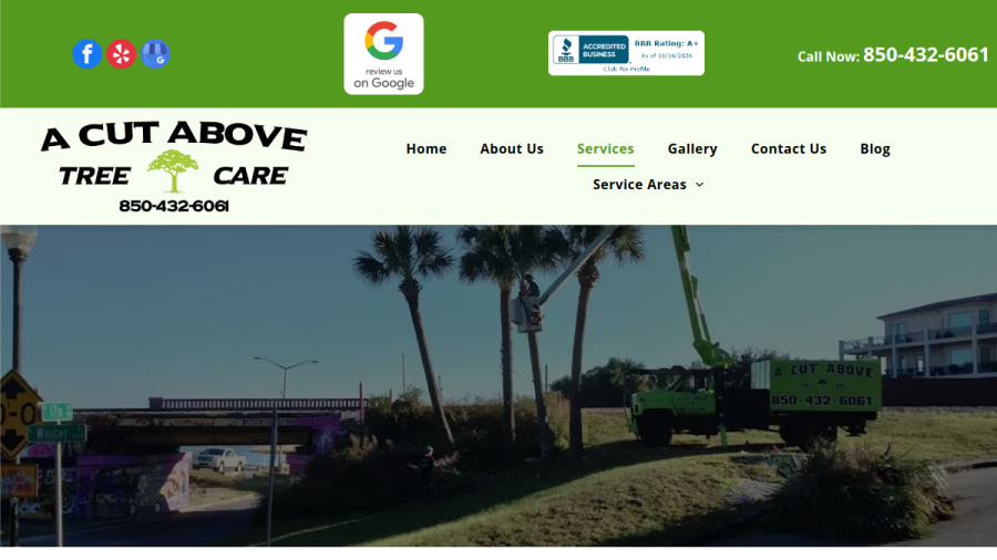 Screenshot of the A Cut Above Tree Care, Inc. website