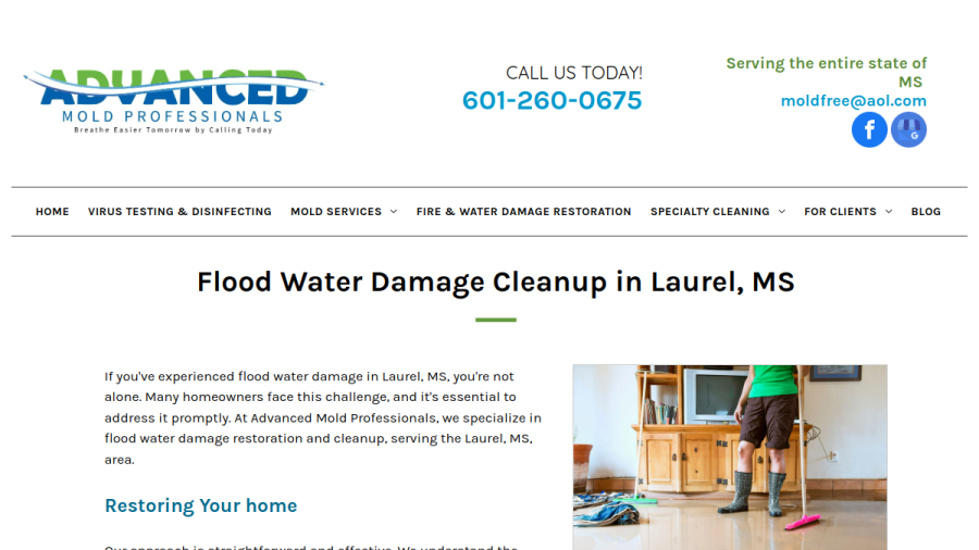 Screenshot of the Advanced Mold Professionals website