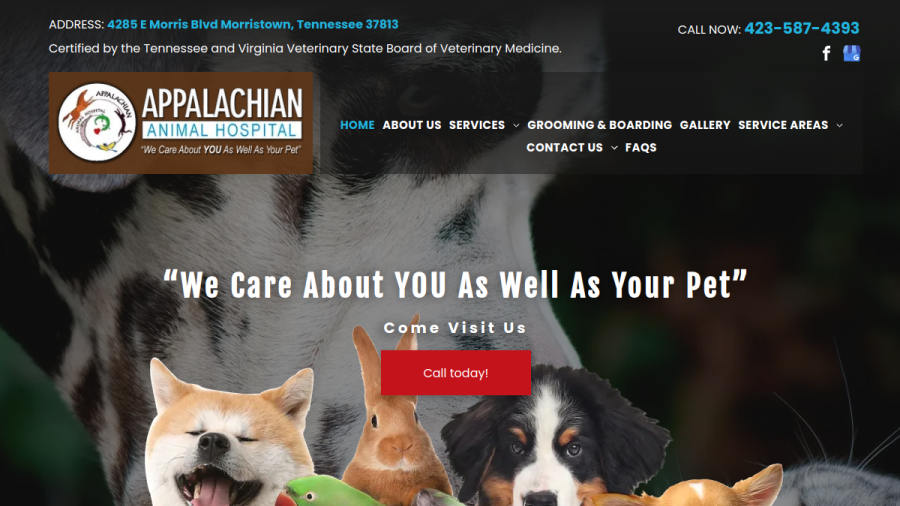 Screenshot of the Appalachian Animal Hospital website