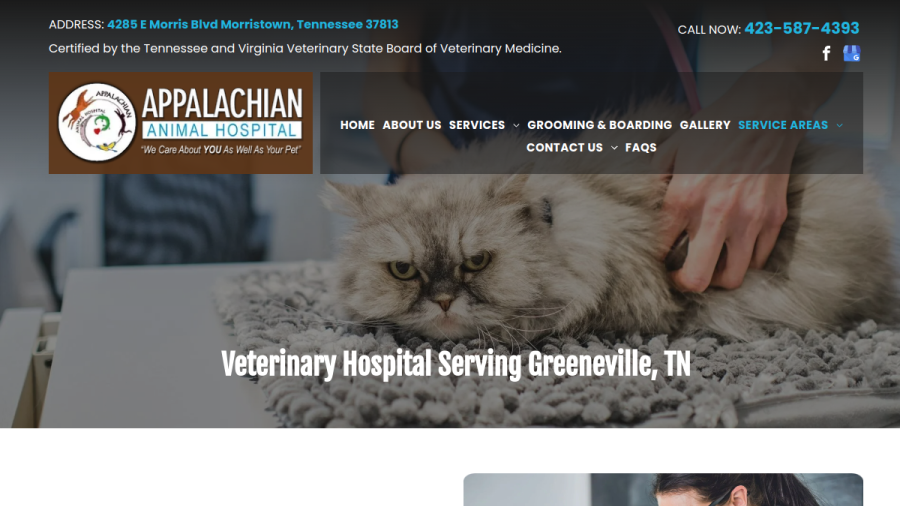 Screenshot of the Appalachian Animal Hospital website