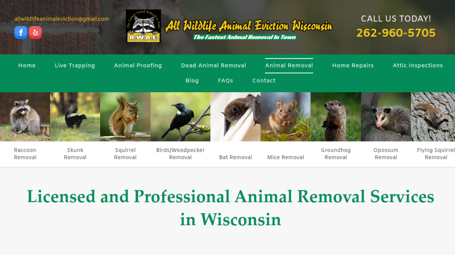 All Wildlife Animal Eviction - Wisconsin website