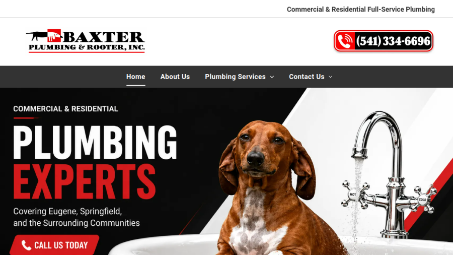 Screenshot of Baxter Plumbing & Rooter Inc website