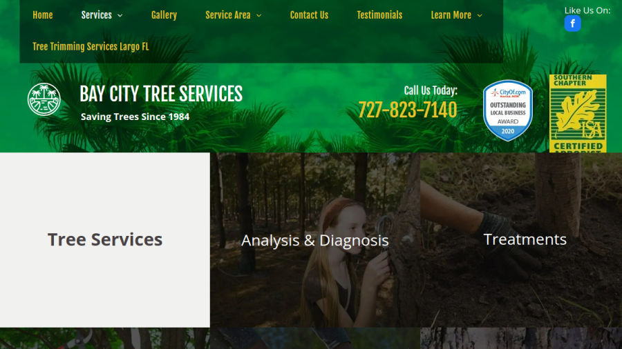 Screenshot of the Bay City Tree Services website