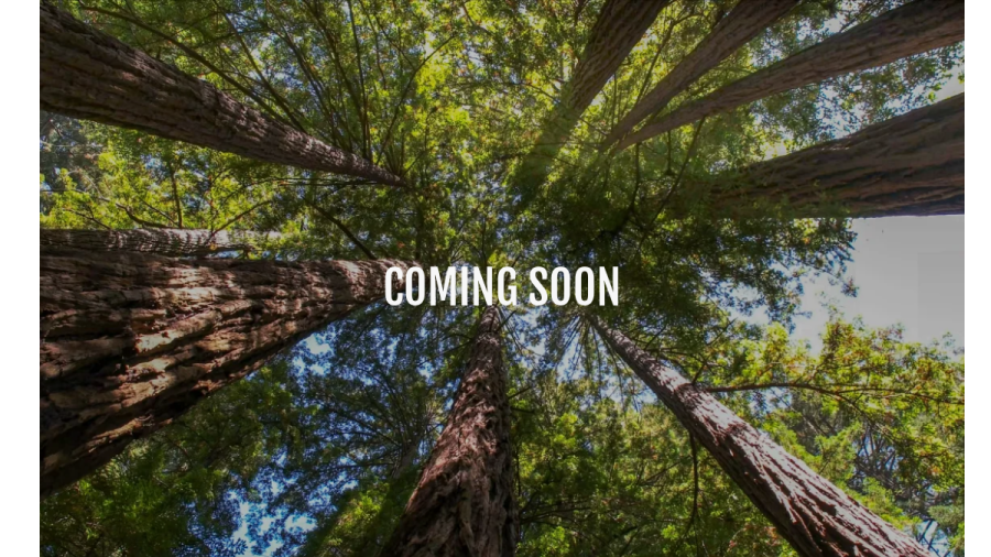 Big Bend Tree Service LLC website
