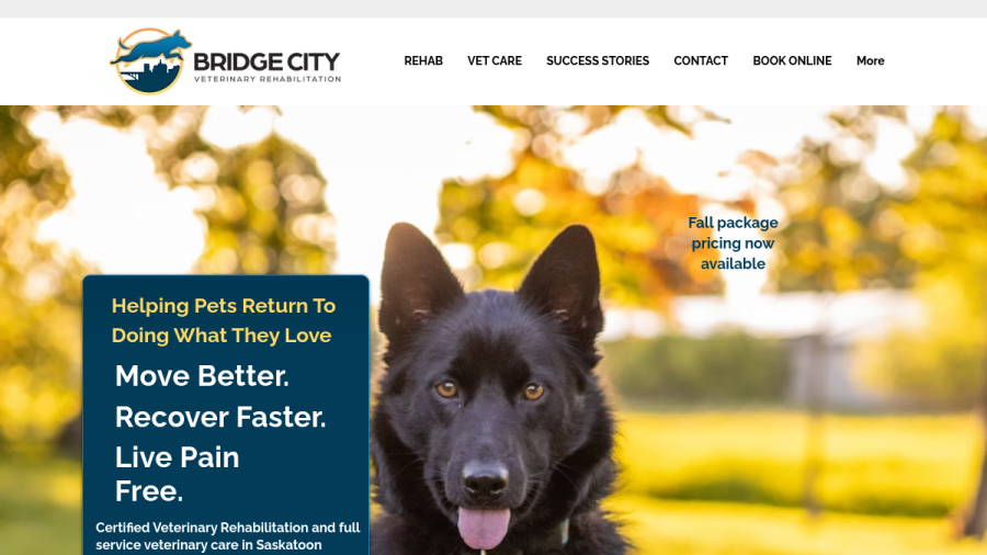 Bridge City Veterinary Rehabilitation website