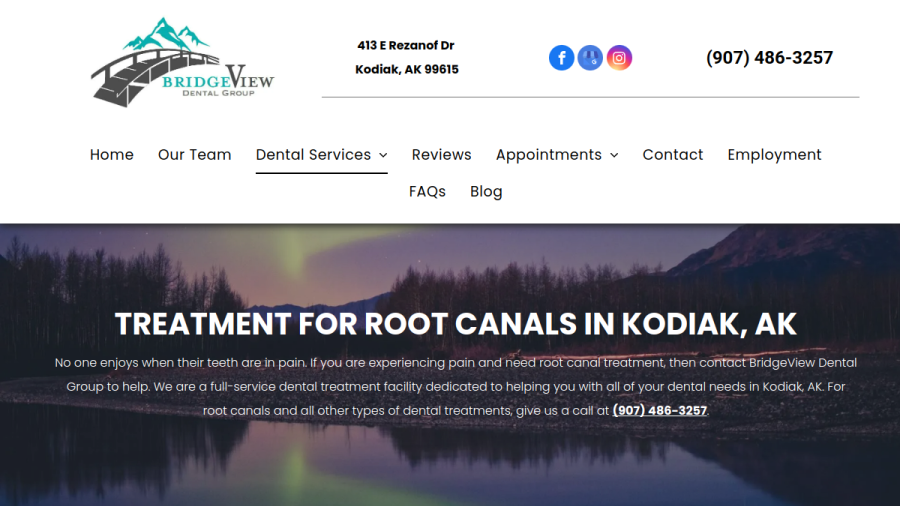 BridgeView Dental Group website