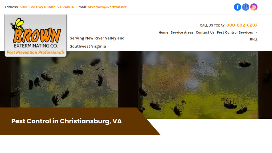 Brown Exterminating Co website screenshot