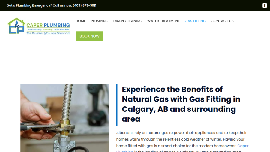 Caper Plumbing Inc. website