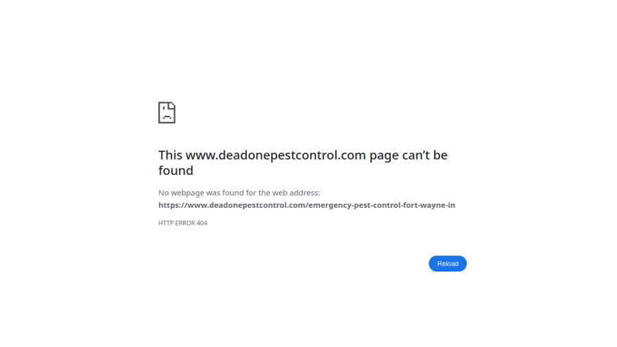 DeadOne Pest Control website