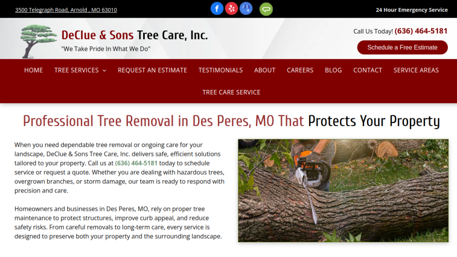 Screenshot of the DeClue and Sons Tree Care Inc. website