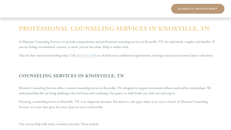 Ebenezer Counseling Services website