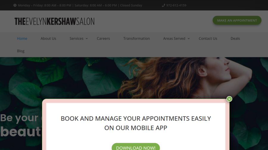 Screenshot of the The Evelyn Kershaw Salon website