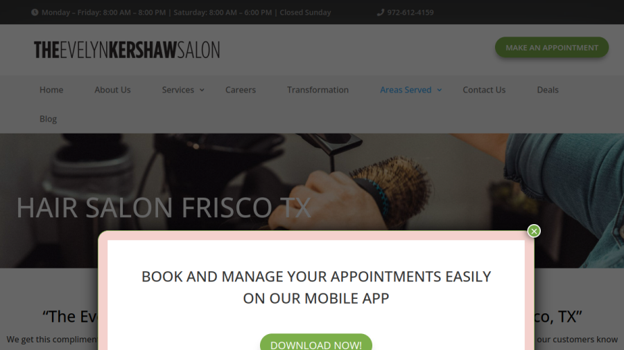 Screenshot of the The Evelyn Kershaw Salon website