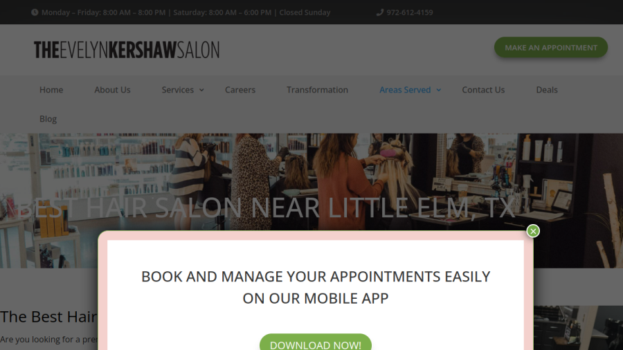 Screenshot of the The Evelyn Kershaw Salon website