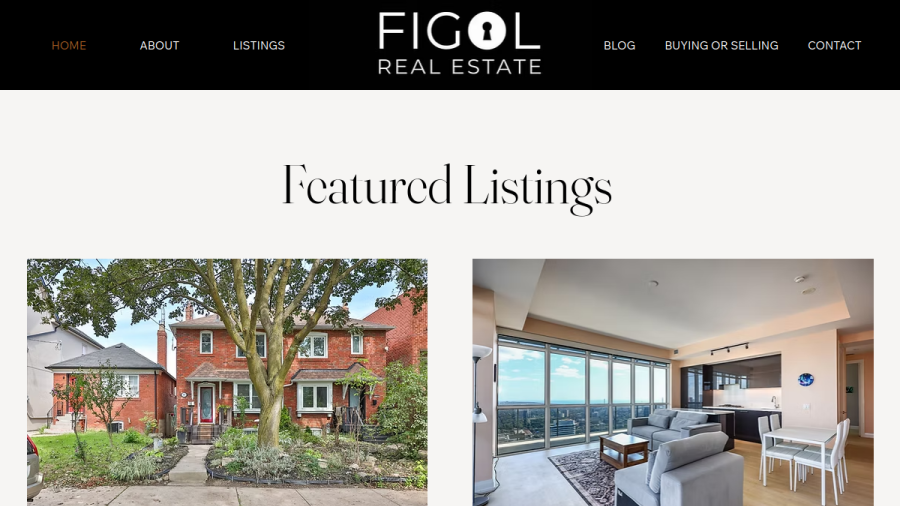 Figol Real Estate - Re/Max Hallmark Realty Ltd. website
