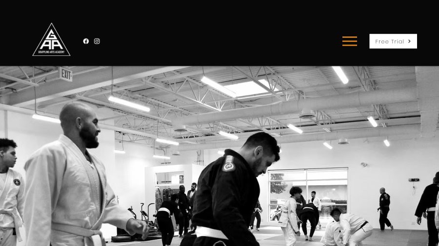 Screenshot of the Grappling Arts Academy website