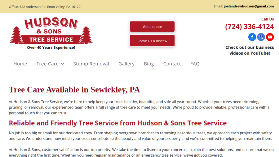 Screenshot of the Hudson & Sons Tree Service website