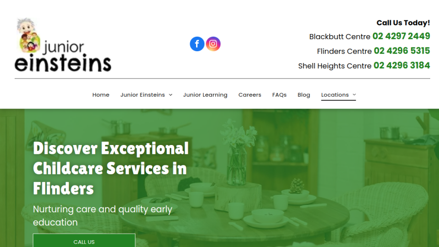 Screenshot of the Junior Einsteins website