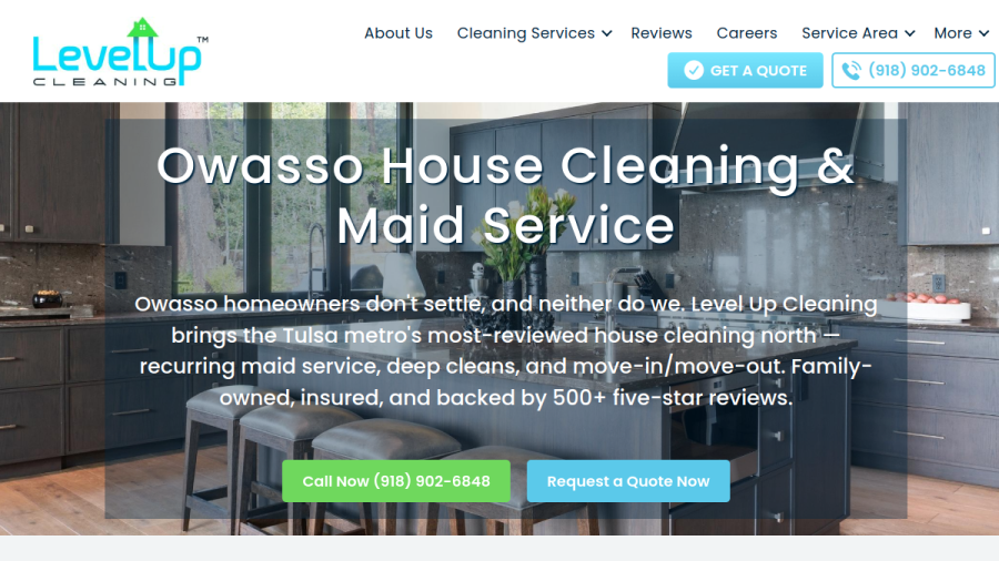 Level Up Cleaning website screenshot