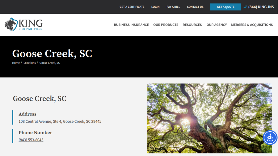 Screenshot of the King Risk Partners website