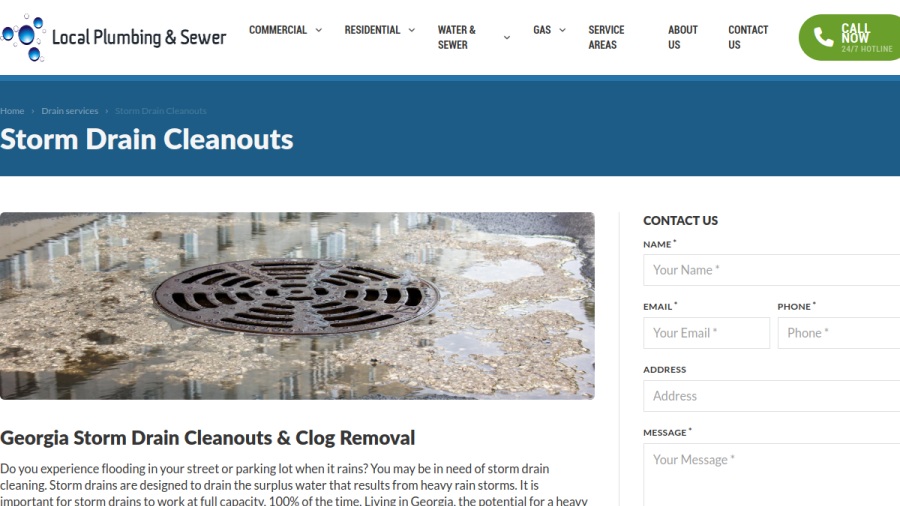 Local Plumbing & Sewer website