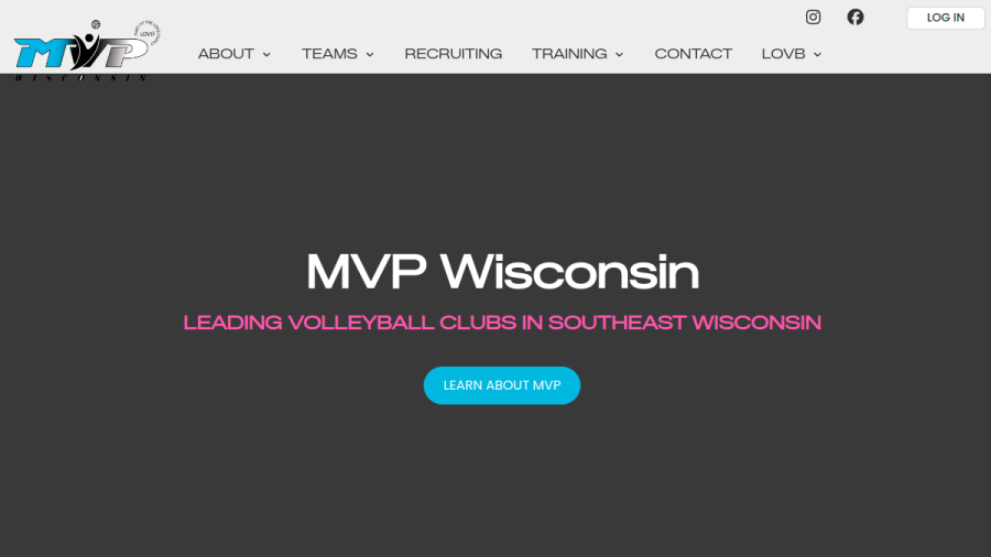 Motion Volleyball Players website