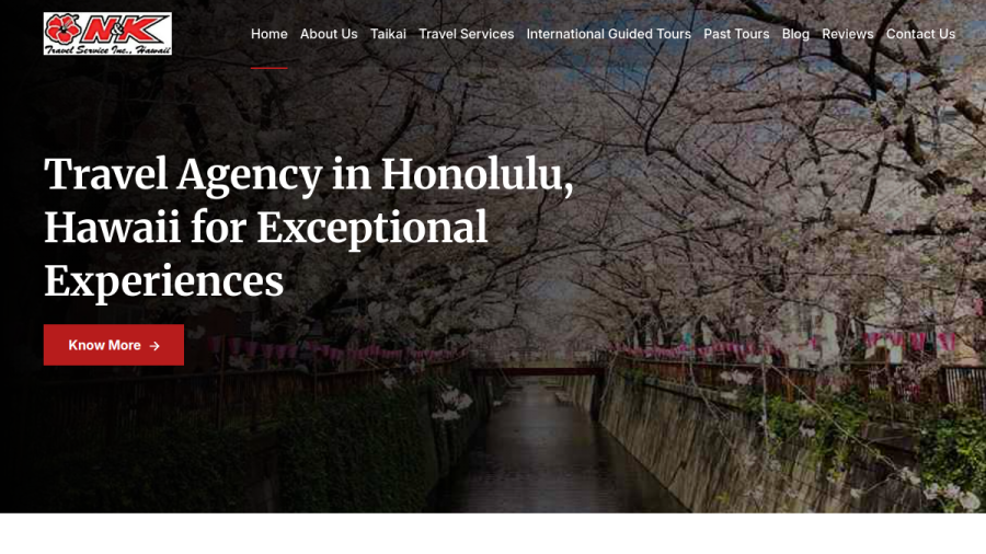 Screenshot of N & K Travel Service website