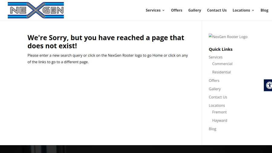 Nexgen Rooter website screenshot