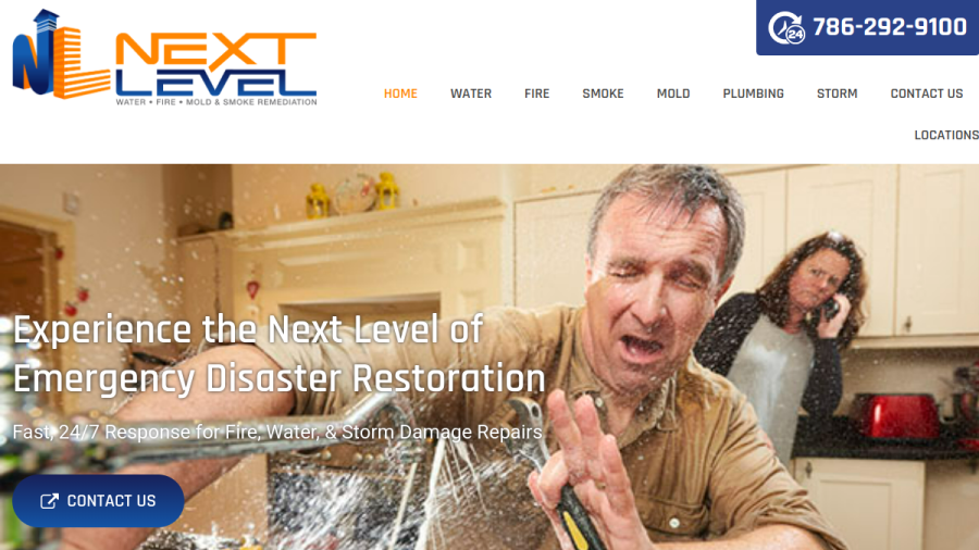 Next Level Restoration website