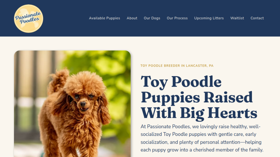 Screenshot of the Passionate Poodles website