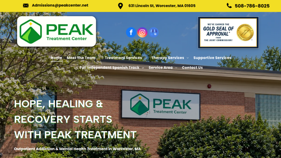 Screenshot of The Peak Treatment Center website