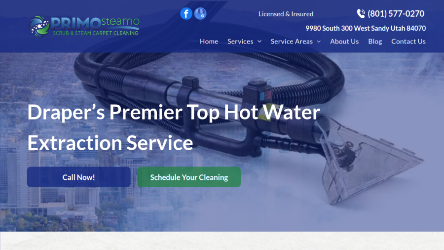 Screenshot of the Primo Steamo website