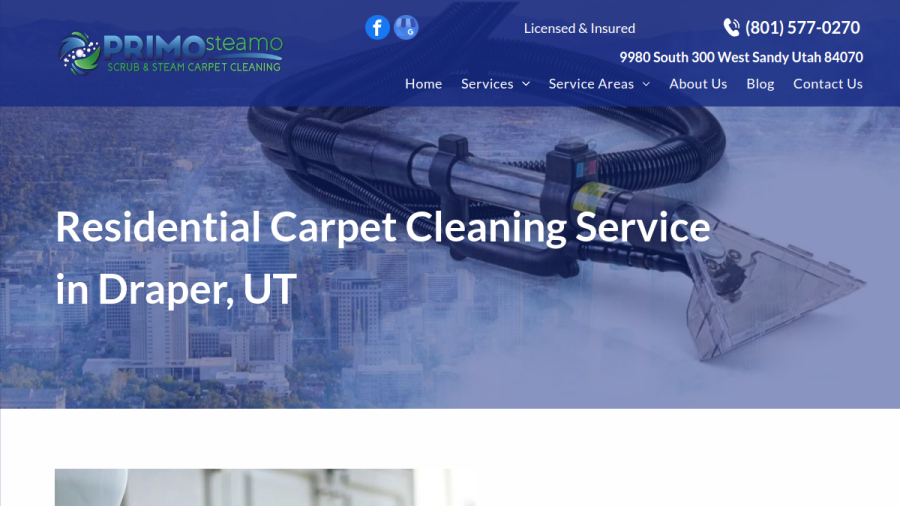 Screenshot of the Primo Steamo website
