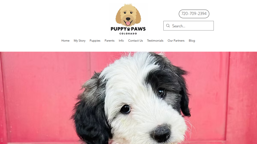 Puppy Paws Colorado website screenshot